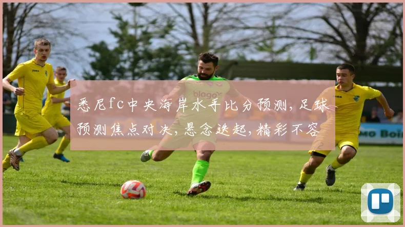 悉尼fc中央海岸水手比分预测,足球预测焦点对决,悬念迭起,精彩不容错过,敬请期待