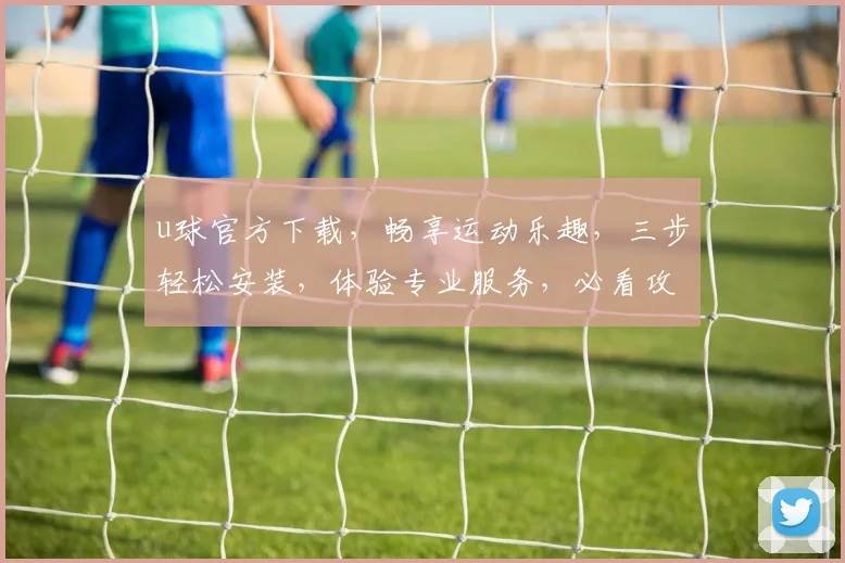 u球官方下载，畅享运动乐趣，三步轻松安装，体验专业服务，必看攻略