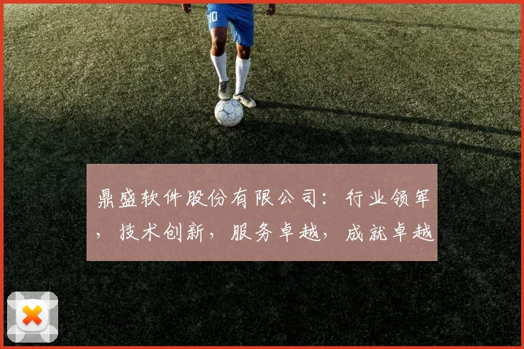 鼎盛软件股份有限公司：行业领军，技术创新，服务卓越，成就卓越发展三要素，引领行业未来