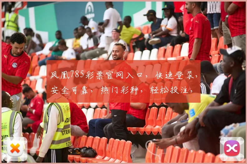 凤凰785彩票官网入口，快速登录，安全可靠，热门彩种，轻松投注，体验非凡