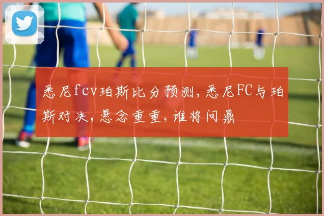 悉尼fcv珀斯比分预测,悉尼FC与珀斯对决,悬念重重,谁将问鼎